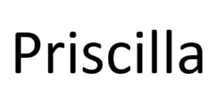 priscillamcking.com